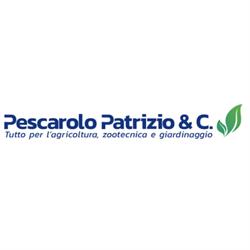 Patrizio Pescarolo, Campolongo Maggiore orari di apertura