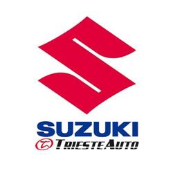 Officina Trieste Auto, Muggia orari di apertura