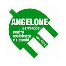 Angelone Service di Vaglienti Davide, Biella orari di apertura