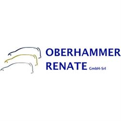 Oberhammer Renate Officina Carrozzeria - Autowerkstatt, Monguelfo-Tesido orari di apertura