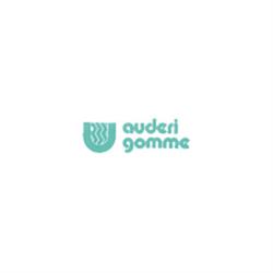 Auderi Gomme di Auderi Giovanni - Driver Center Pirelli COMO, Como orari di apertura