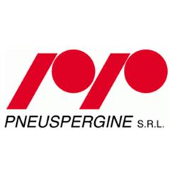 Pneuspergine, Pergine Valsugana orari di apertura