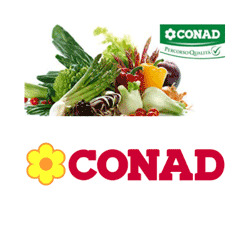 Conad City, Santa Maria Nuova orari di apertura