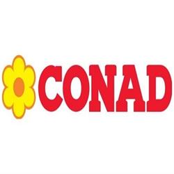 Conad City - Medolla, orari di apertura