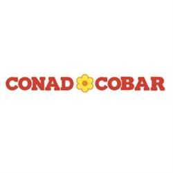 Conad Cobar - Centro Commerciale La Pieve, Bagnacavallo orari di apertura