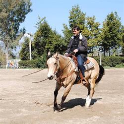Circolo Ippico, Roma orari di apertura
