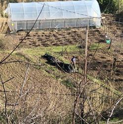 Agriturismo Arca Di Nenè, Castiglione Chiavarese orari di apertura