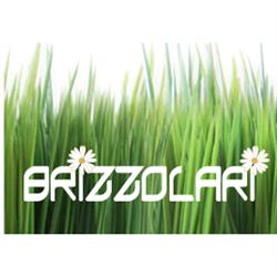 Brizzolari, Pietra Marazzi orari di apertura