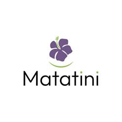 Matatini Viaggi SNC, Moncalieri orari di apertura
