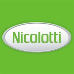 Nicolotti Motoseghe e Macchine per Giardino, Azeglio orari di apertura