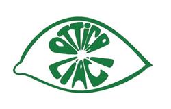 Ottica Liaci - Carmiano, orari di apertura
