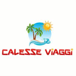 Calesse Viaggi, San Martino Buon Albergo orari di apertura