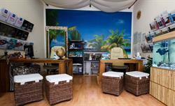 Hawaii Viaggi e Vacanze, Cepagatti orari di apertura