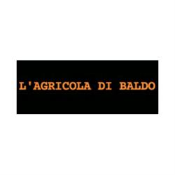 L'Agricola di Baldo, Vibo Valentia orari di apertura
