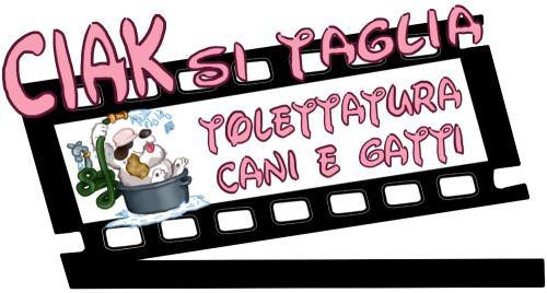 Ciak si Taglia Roma, Ostia - Orari di apertura