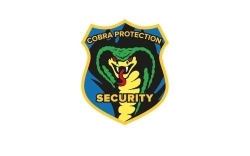 COBRA PROTECTION DI SCHIANO MARCO, Napoli orari di apertura