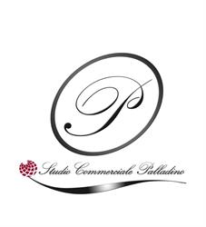 Studio Commerciale Palladino - CAF CGN, Lanuvio orari di apertura