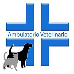 Ambulatorio Veterinario Spontini, Milano orari di apertura