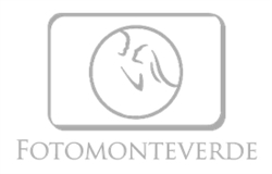 Fotomonteverde, Roma orari di apertura