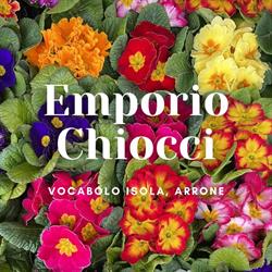 L Emporio Di Francesco Chiocci, Arrone orari di apertura