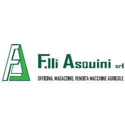 F.lli Asquini Srl di Asquini Fabrizio e Valentina, Canino orari di apertura