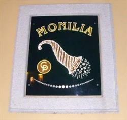 Gioielleria Monilia, Serra San Bruno orari di apertura