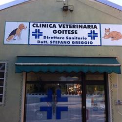 Clinica veterinaria, Goito orari di apertura