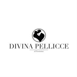 Divina Pellicce, Venaria Reale orari di apertura