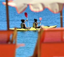 Pino Solitario - Fetovaia, Marina di Campo orari di apertura