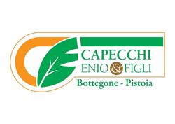 Capecchi Enio & Figli Vivai Piante Società Agricola Semplice, Pistoia orari di apertura
