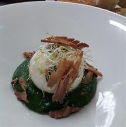 CIBUS _ Ristorante, Niscemi orari di apertura