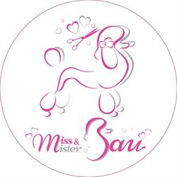 Miss & Mister Bau Toelettatura Conegliano, orari di apertura