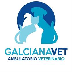 Ambulatorio Veterinario Galciana, Prato orari di apertura