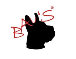 Bau s, Sesto Fiorentino orari di apertura