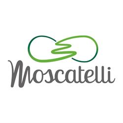 Moscatelli srl - Energia Solare, Milano orari di apertura