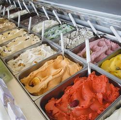 L'Albero dei Gelati, Seregno orari di apertura