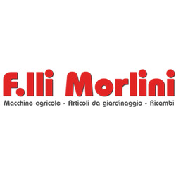 Macchine F.lli Morlini, Medicina orari di apertura