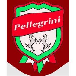 Macelleria Equina Pellegrini, Milano orari di apertura