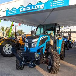 Cipollone Agri s.r.l, Miglianico orari di apertura