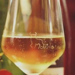 Taberna Movida, Piacenza orari di apertura