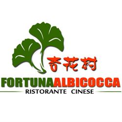 Ristorante Fortuna Albicocca - Parma, orari di apertura
