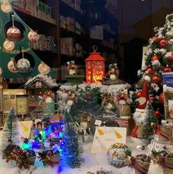 Erboristeria Antico Erbario Sas Di Balla Simona C., Orbassano orari di apertura