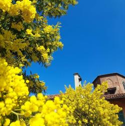 Cascina Duc, Grugliasco orari di apertura