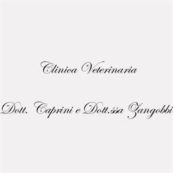 Clinica Veterinaria Caprini Dr. Davide e Zangobbi Dr.ssa Alessandra, Gazoldo degli Ippoliti orari di apertura