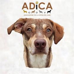 ADICA ONLUS Associazione per la difesa del cane, Lodi orari di apertura