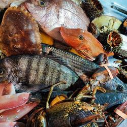 Ristorante La Vecchia Posta Di Giovanni Savia, Mascali orari di apertura