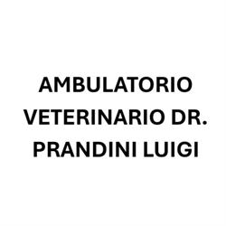 Ambulatorio Veterinario Dr. Prandini Luigi, San Felice sul Panaro orari di apertura