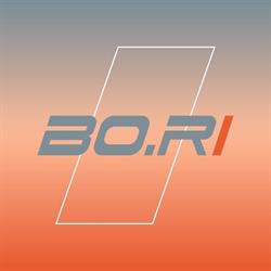 Bo.Ri. Srl, San Lazzaro di Savena orari di apertura