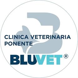 Clinica Veterinaria Ponente - BluVet, Genova orari di apertura