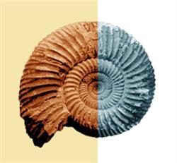 Engeo S.r.l., Parma orari di apertura